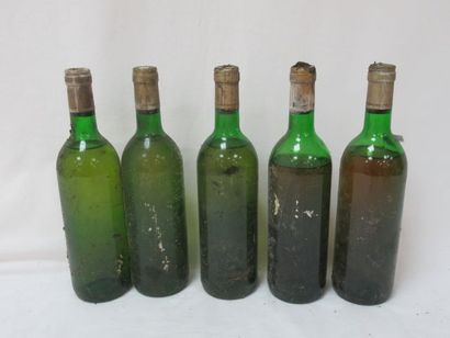 null Batch of 4 bottles of white wine without labels.