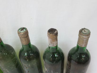 null Lot de 4 bouteilles de vin blanc sans étiquettes.