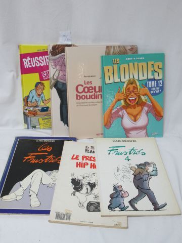 null Lot of 7 comics, including "Réussir le BAC sans se fouler", "Les frustrés",...