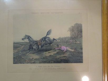 null From ALKEN "A rare sort of the downs" Color Engraving. Framed under glass. 41...