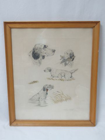 null Jean HERBLOT "Les Chiens de chasse" Aquatinte. Signed in pencil. Framed under...