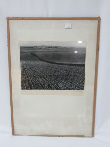 null Photograph showing a field. Signed by the artist and numbered. 19 x 24 cm