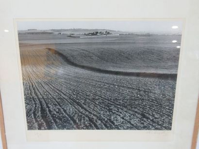 null Photograph showing a field. Signed by the artist and numbered. 19 x 24 cm