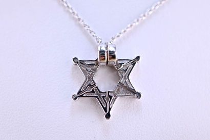 null Necklace with an 18 karat white gold Star of David deployant set with 45 untreated...