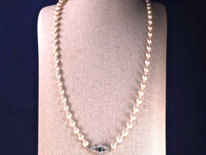null LONG COLLIER DE 65 PERLES DE CULTURE JAPONAISES AKOYA en chute de 83 cm, perles...