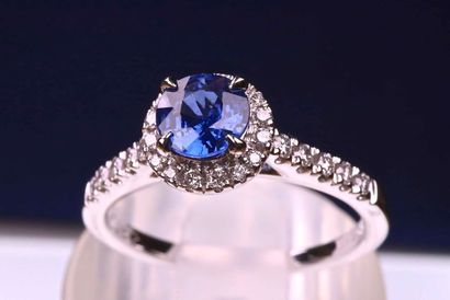 null Ring in 18 kt rhodium-plated white gold and a central sapphire set with eagle...