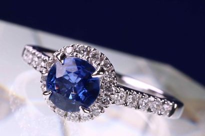 null Ring in 18 kt rhodium-plated white gold and a central sapphire set with eagle...