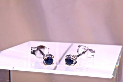 null Ear studs in 18 kt white gold set with 2 round and transparent natural sapphires...