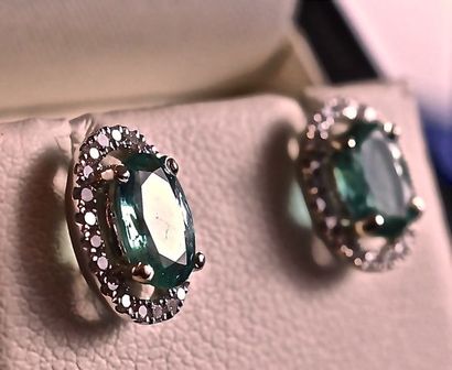 null Earrings in 18 kt white gold set with 2 oval and transparent natural emeralds...