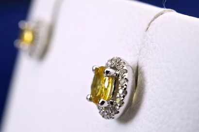 null Earrings in 18 kt white gold set with 2 brilliant-cut natural yellow sapphires...