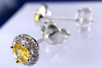 null Earrings in 18 kt white gold set with 2 brilliant-cut natural yellow sapphires...