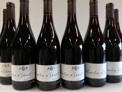 null 8 bouteilles de Moulin A Vent. 2017. Maude Théodore. Cru du Beaujolais.