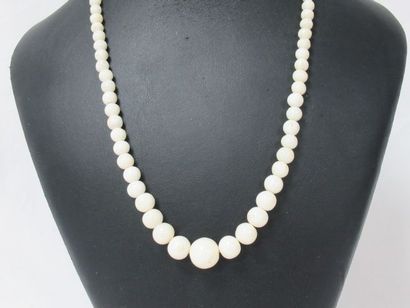 null Collier en perles de corail blanc. Long.: 42 cm (ouvert)