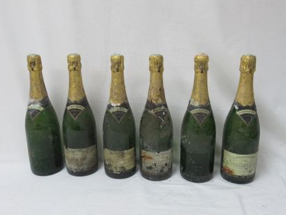 null Set of 6 bottles of Guiborat champagne. (dirty labels, some missing)