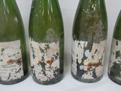 null 7 bottles of Côteaux du Layon, dates illegible. (esta, LB and B)