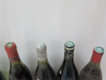null Lot de 7 bouteilles de vin : 6 de rouge (dont Beaujolais, Tourraine), 1 de blanc....