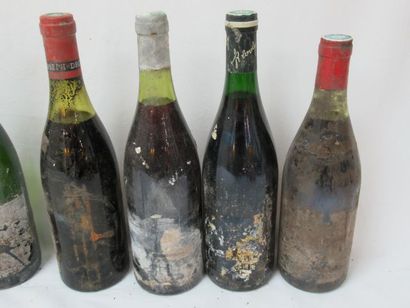 null Lot de 7 bouteilles de vin : 6 de rouge (dont Beaujolais, Tourraine), 1 de blanc....