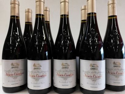 null 9 bouteilles Domaine des Marigrolles 2015. Saumur Champigny. Domaine Jordi
