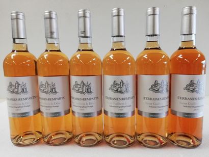 null 6 bouteilles de Domaine des Remparts. Les Terrasses. 2015. Le Saint Guilhem....