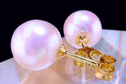 null BOUCLES D'OREILLES en en or jaune 18KT avec perles rondes AKOYA du Japon de...