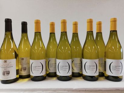 null Lot de 9 bouteilles : 2 Pouilly Fuissé. 2017. Bourgogne. Marcel de Normont 

7...