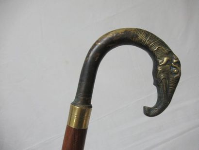 null Canne en bois, pommeau en bronze figurant une tête d'éléphant. Long.: 89 cm