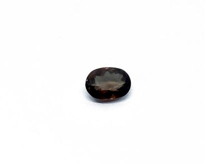 null Tourmaline brune facettée de forme ovale de 1.32 carats environ.