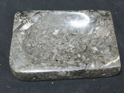 null 
Vide-poche en marbre gris foncé incrusté d'ammonites fossilisés. 16 X11 cm...