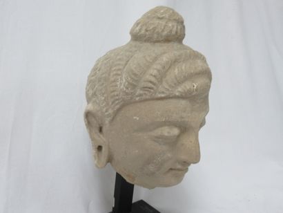null 
PAKISTAN Tête de Bouddha en pierre. Art greco-bouddique du Gandhara (IIIe-...