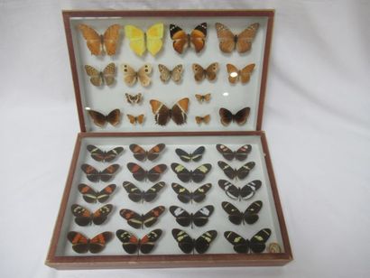 null 
Lot de deux coffrets en carton et verre contenant des papillons naturalisés....