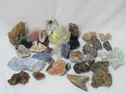 null 
Lot de minéraux : quartz rose, pyrite, améthyste, rubis … 6-14 cm 



Nous...