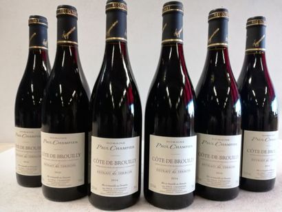 null 6 bouteilles de Domaine Paul Champier. 2016. Cru du Beaujolais. Côtes de Brouilly....