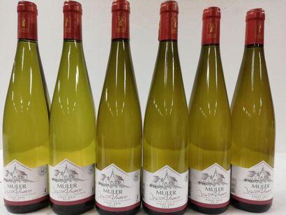 null 6 bouteilles de Pinot gris. Alsace. 2019. Domaine Muler Vignerons. Propriétaire...