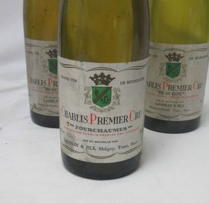 null Lot de 7 bouteilles : 3 de Chablis 1er Cru (2 de 2000 et 1 de 1987) / 4 Petit...