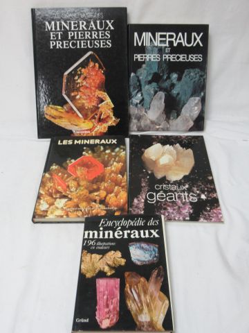 null Lot de 5 livres sur les minéraux et les Pierres précieuses.

Si vous ne pouvez...