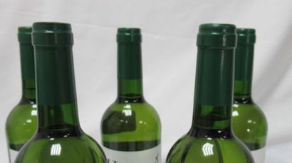 null 5 bouteilles de Côtes de Gascogne, Colombard Sec, "Hirondelle", 2015

Si vous...