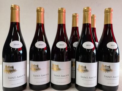 null 8 bouteilles de Saint Amour. 2019. Grand Cru du Beaujolais. Rouge