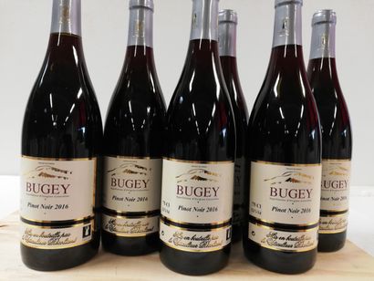 null 6 bouteilles de Bugey. Pinot noir. 2016. Grand vin de la Bourgogne. Viticulteur...