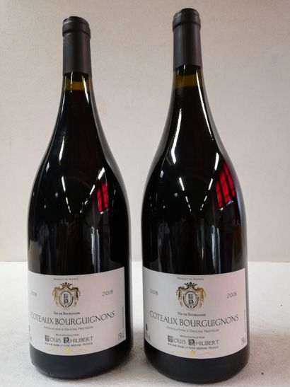 null 2 Magnums (150cl) Bourgogne Rouge. 2018. Louis Philibert. Burgundy hillside...
