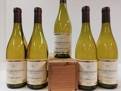 null 5 bouteilles de Bourgogne Macon-Lugny. 2018. Paul Henri Lacroix