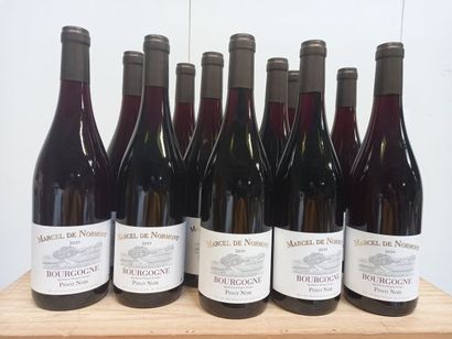 null 12 bouteilles de Bourgogne. Pinot noir. Marcel de Normont. 2019
