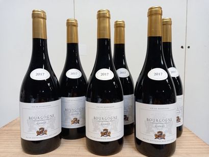 null 6 bouteilles de Bourgogne rouge. 2017. VSR. Grand vin de bourgogne. Bouteille...