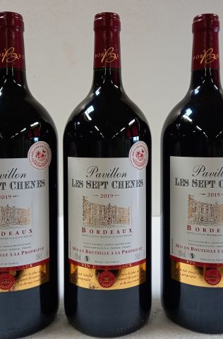 null 
6 Magnums (150cl) de Bordeaux, Les Sept Chênes. 2019. Propriétaire récolta...