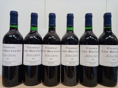 null 6 bouteilles de Château des Bouygues. 1995. Bordeaux supérieur. Vignobles M...