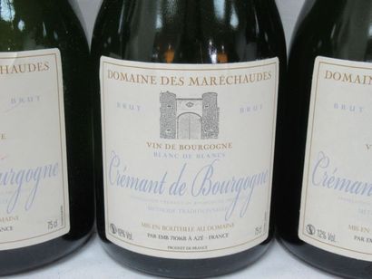 null 6 bouteilles de Crémant de Bourgogne, Brut, Blanc de Blancs, domaine des Ma...