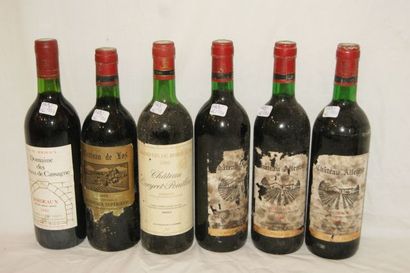 null Lot de 6 bouteilles de Bordeaux : Château de Los 1975, Château Queyret 1982,...