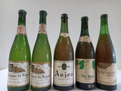 null Lot de 5 Vieilles bouteilles en l'état :

- 3 Côteaux du Lay : 2 de 1982 et...