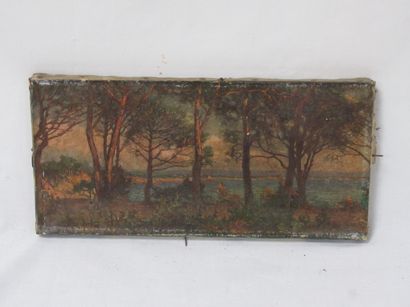 null Ecole du XXe siècle "Côte Tyrenienne" huile sur toile. 13 x 28 cm Avec un cadre...