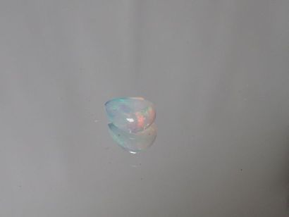 Opale de feu, 0,63 carats. Avec son cert...