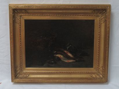  A. MATIGNON (fin XIXe-début Xxe) 
"Nature morte aux poissons" 
Huile sur toile....